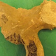 Illustration for article titled 5 Important Artifacts That Were Lost—And Found—In Museum Storage